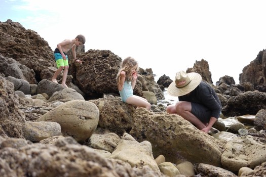 A DAY AT THE&nbsp;BEACH